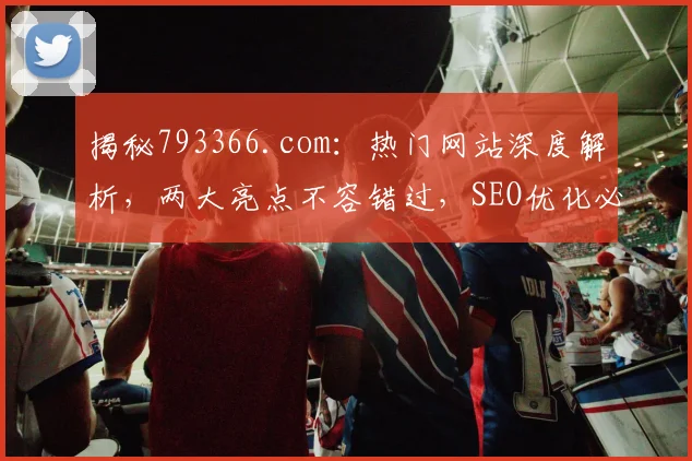 揭秘793366.com：热门网站深度解析，两大亮点不容错过，SEO优化必备