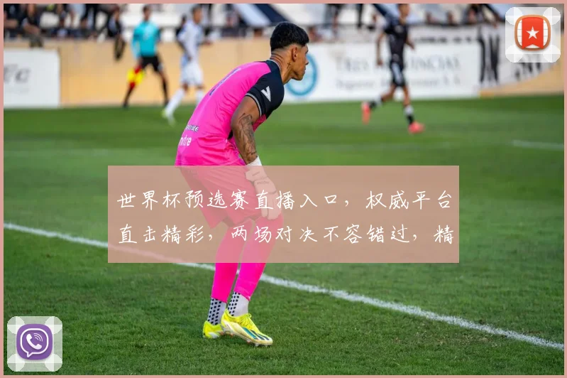 世界杯预选赛直播入口，权威平台直击精彩，两场对决不容错过，精彩直播等你来
